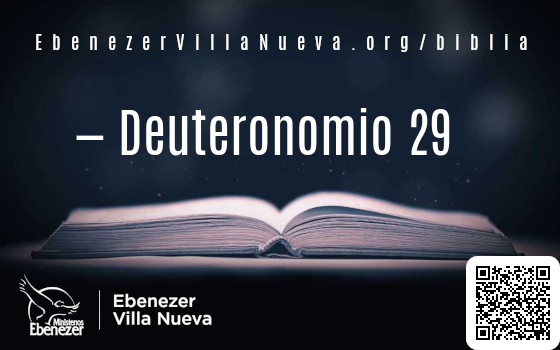 Deuteronomio 29
