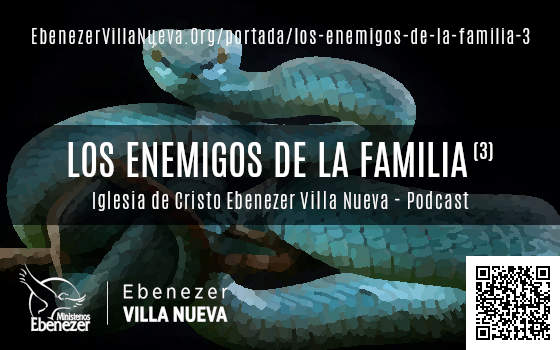 LOS ENEMIGOS DE LA FAMILIA (3)