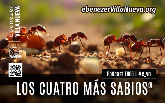PODCAST #605: LOS CUATRO MÁS SABIOS (1)