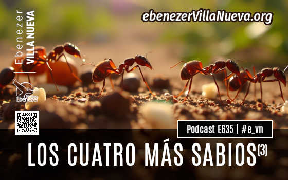 PODCAST #635: LOS CUATRO MÁS SABIOS (3)