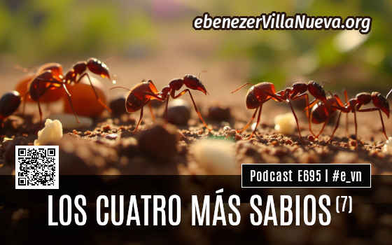 LOS CUATRO MÁS SABIOS (7)